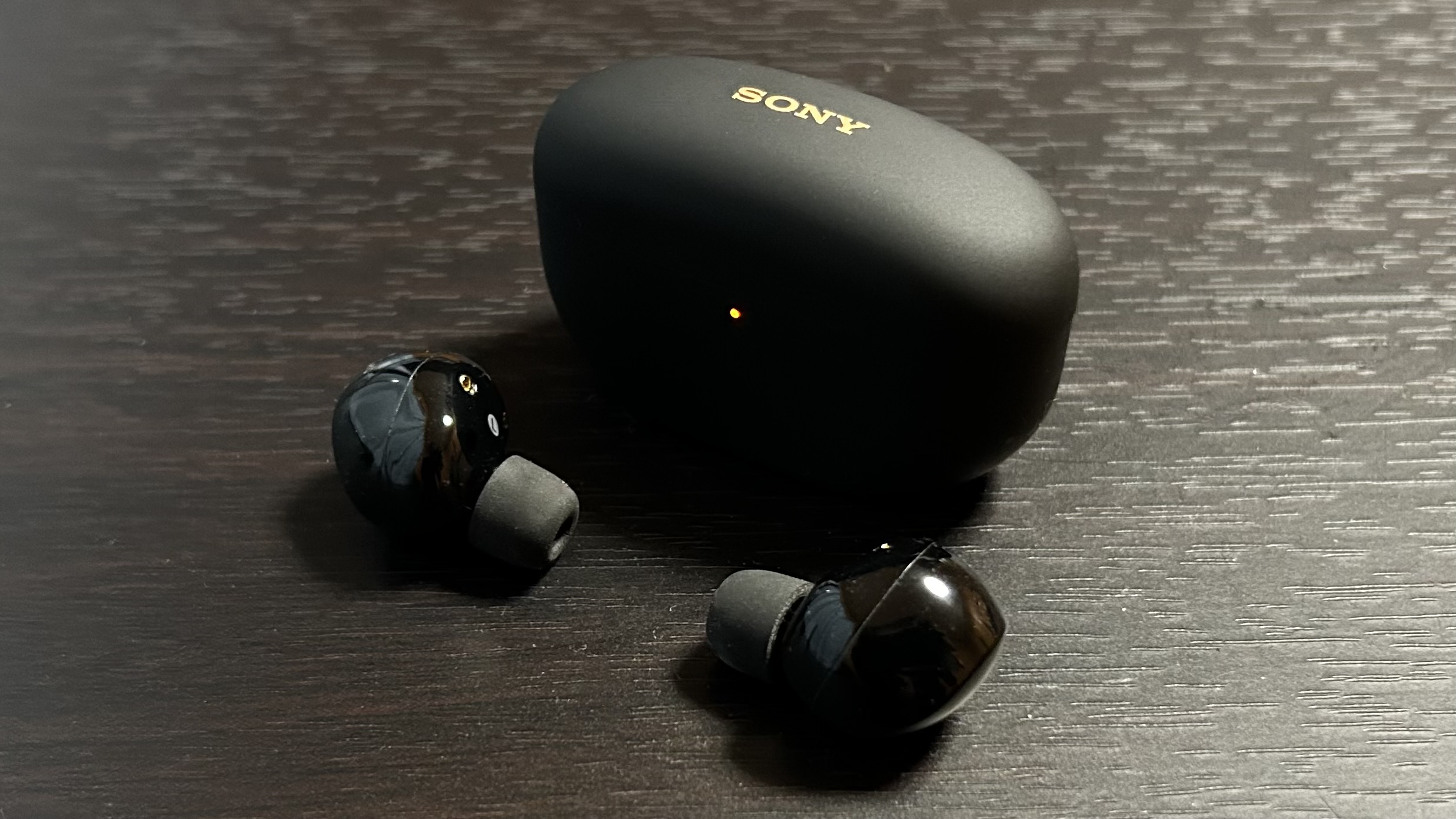 WF-1000XM5レビュー｜イヤホン本体と充電ケースの製品写真