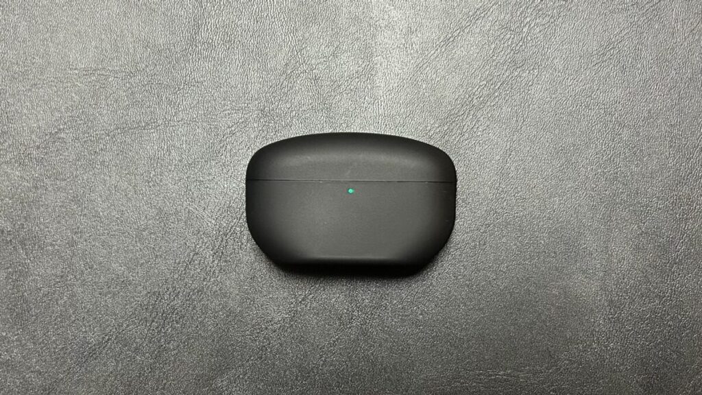 SednaEarfit Crystal 2 Lサイズ装着のWF-1000XM5をケース収納した状態(蓋クローズ)